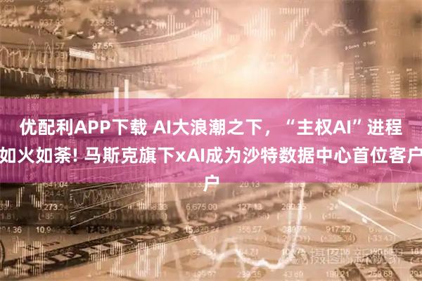 优配利APP下载 AI大浪潮之下，“主权AI”进程如火如荼! 马斯克旗下xAI成为沙特数据中心首位客户