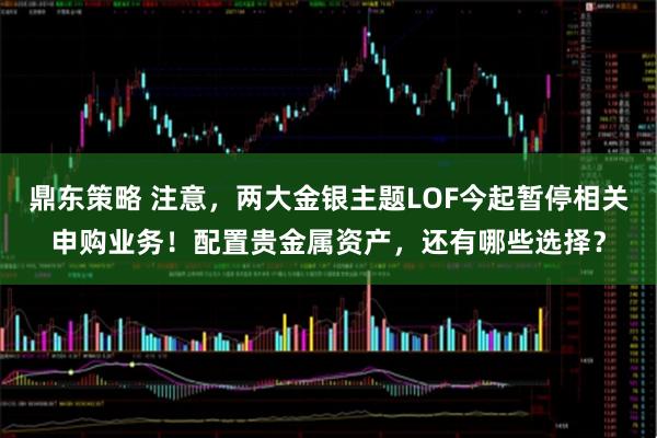 鼎东策略 注意，两大金银主题LOF今起暂停相关申购业务！配置贵金属资产，还有哪些选择？
